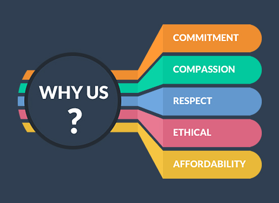 Website Designing Services You Provide Image