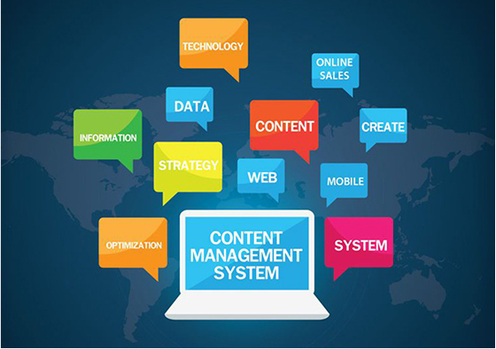 CMS Website Development Services