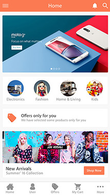 Portfolio 43