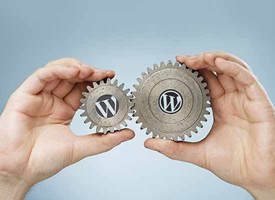 Unique Services Provided Image