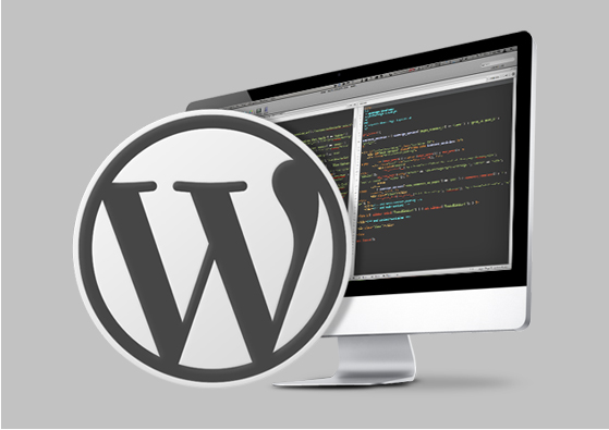 Website Designing Services You Provide Image